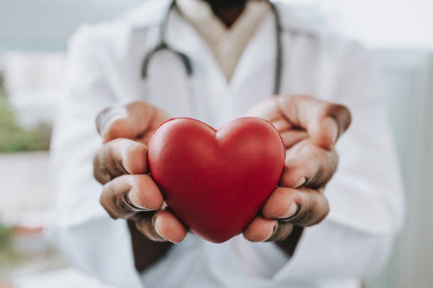 doctor holding a plastic heart