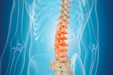 The Lowdown on Back Pain The Lowdown on Back Pain