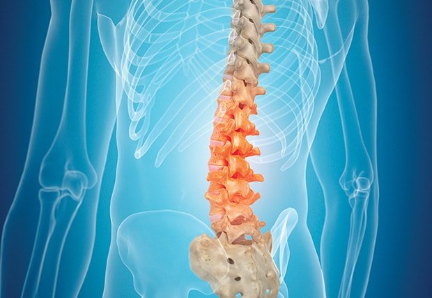 La verdad sobre el dolor de espalda